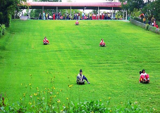 時尚滑草，玩轉(zhuǎn)大自然的極速快感